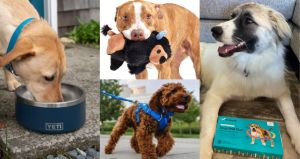 Gift guide for dog lovers